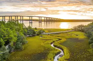 138 Etta Wy, Charleston, SC 29492 - Photo 15