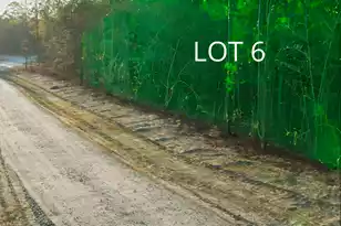 Lot 6 Evangelist Dr #Lot 6, Early Branch, SC 29916 - Photo 13