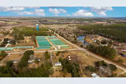 7878 Raccoon Road, Manning, SC 29102 - Photo 3