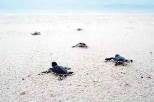 2416 Racquet Club Dr, Seabrook Island, SC 29455 - Photo 119