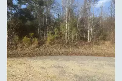 000 Flake Road, Orangeburg, SC 29115 - Photo 3