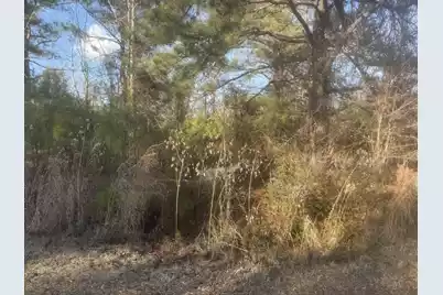 000 Flake Road, Orangeburg, SC 29115 - Photo 9