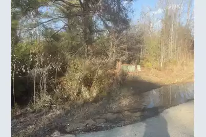 000 Flake Road, Orangeburg, SC 29115 - Photo 7