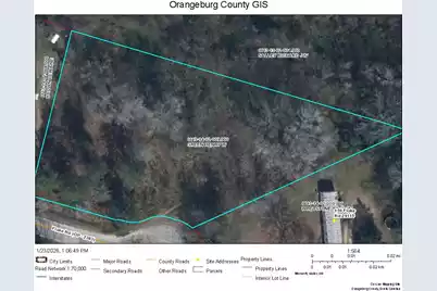 000 Flake Road, Orangeburg, SC 29115 - Photo 1