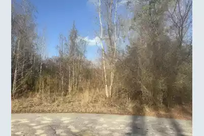 000 Flake Road, Orangeburg, SC 29115 - Photo 5