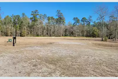 170 Rice Gate Court, Walterboro, SC 29488 - Photo 3