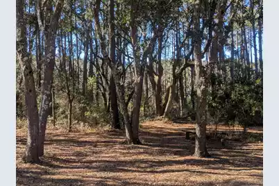 2134 McNeil Washington Road, Charleston, SC 29412 - Photo 5