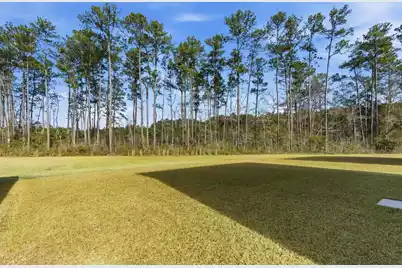 228 Wappoo Trace Lane, Summerville, SC 29486 - Photo 41