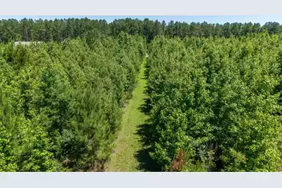 2145 Eutaw Road, Holly Hill, SC 29059 - Photo 109
