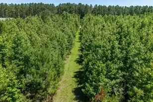 2145 Eutaw Rd, Holly Hill, SC 29059 - Photo 109