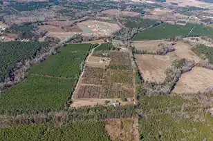 2145 Eutaw Rd, Holly Hill, SC 29059 - Photo 51