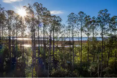 2296 Minifarm Way #525, Mount Pleasant, SC 29466 - Photo 1