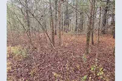 00 Calamus Pond Road, Summerville, SC 29486 - Photo 3