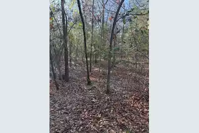 01 Broughton Road, Moncks Corner, SC 29461 - Photo 3