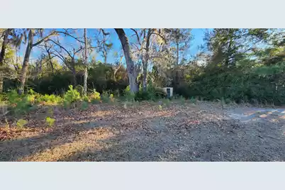 0 Old Number 6 Highway, Eutawville, SC 29048 - Photo 5