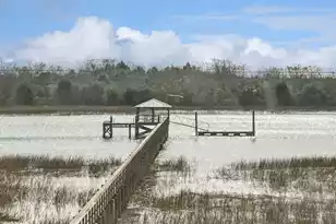 8107 Doar Rd, Awendaw, SC 29429 - Photo 49