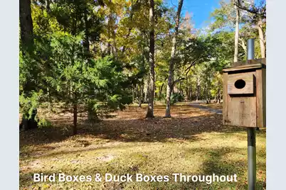 245 Bull Point Drive, Seabrook, SC 29940 - Photo 79