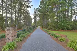 226 Lindera Preserve Blvd, Summerville, SC 29486 - Photo 53