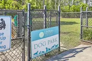 226 Lindera Preserve Blvd, Summerville, SC 29486 - Photo 47