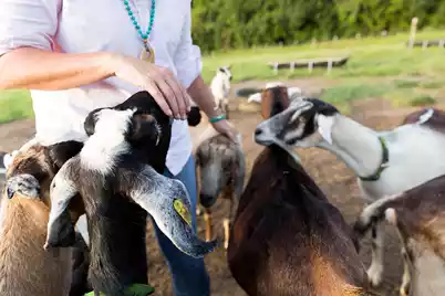 3035 Eventide Drive, Johns Island, SC 29455 - Photo 5