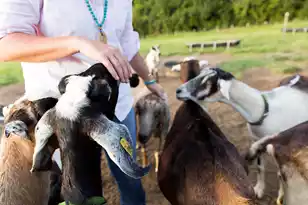 3035 Eventide Dr, Johns Island, SC 29455 - Photo 5