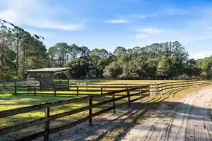 4400 Wando Farms Rd, Mount Pleasant, SC 29429 - Photo 55