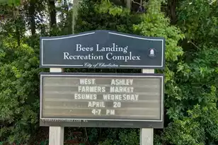 695 Jancus St, Charleston, SC 29414 - Photo 45