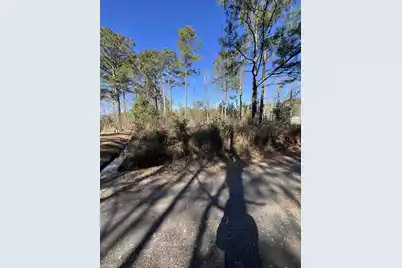 0 Mims Lane, Georgetown, SC 29440 - Photo 3