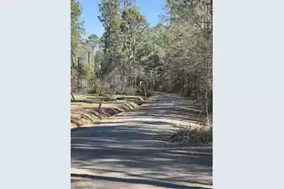 0 Mims Lane, Georgetown, SC 29440 - Photo 1