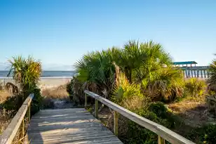 115 Arctic Ave E, Folly Beach, SC 29439 - Photo 33