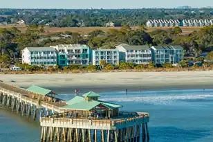 115 Arctic Ave E, Folly Beach, SC 29439 - Photo 39