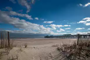 115 Arctic Ave E, Folly Beach, SC 29439 - Photo 33