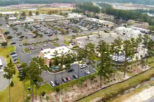 130 Basket Grass Ln, Summerville, SC 29486 - Photo 67