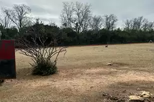 6995 Arthur Gayle Rd, Wedgefield, SC 29168 - Photo 33