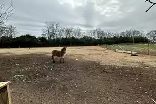 6995 Arthur Gayle Rd, Wedgefield, SC 29168 - Photo 41