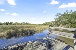 1864 Fruitwood Ave, Charleston, SC 29414 - Photo 59