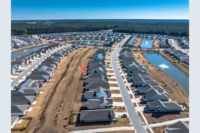 350 Dahlia Row Drive, Summerville, SC 29486 - Photo 51