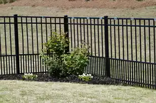 350 Dahlia Row Dr, Summerville, SC 29486 - Photo 47