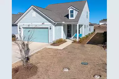 350 Dahlia Row Drive, Summerville, SC 29486 - Photo 1