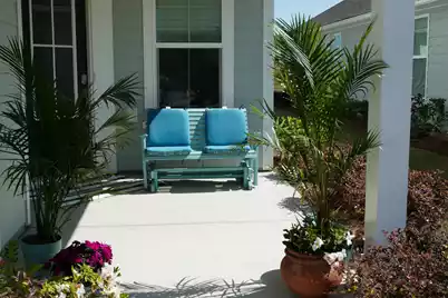 350 Dahlia Row Drive, Summerville, SC 29486 - Photo 3