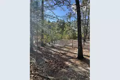 00 Turner Lane, Round O, SC 29474 - Photo 13