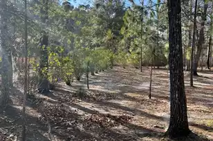 00 Turner Ln, Round O, SC 29474 - Photo 13