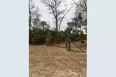 00 Turner Lane, Round O, SC 29474 - Photo 17