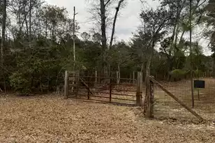 00 Turner Ln, Round O, SC 29474 - Photo 17
