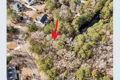 3786 Saint Ellens Drive, Mount Pleasant, SC 29466 - Photo 3