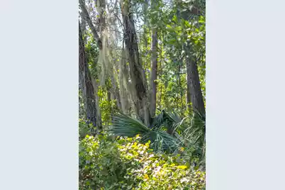 2160 Royal Pine Drive, Seabrook Island, SC 29455 - Photo 13