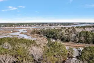 3582 Heathermoor Ct, Mount Pleasant, SC 29466 - Photo 3