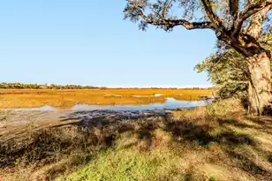 1457 Patterson Ave, Charleston, SC 29412 - Photo 1