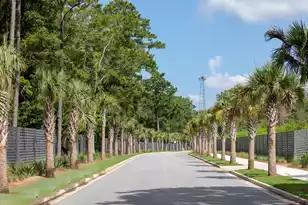 1493 Cultivation Ln, Mount Pleasant, SC 29466 - Photo 31