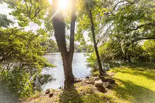 713 Lake Frances Dr, Charleston, SC 29412 - Photo 37